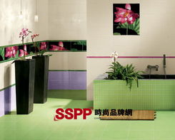 打造精致的家裝 演繹西方衛(wèi)浴的美麗傳說(shuō)